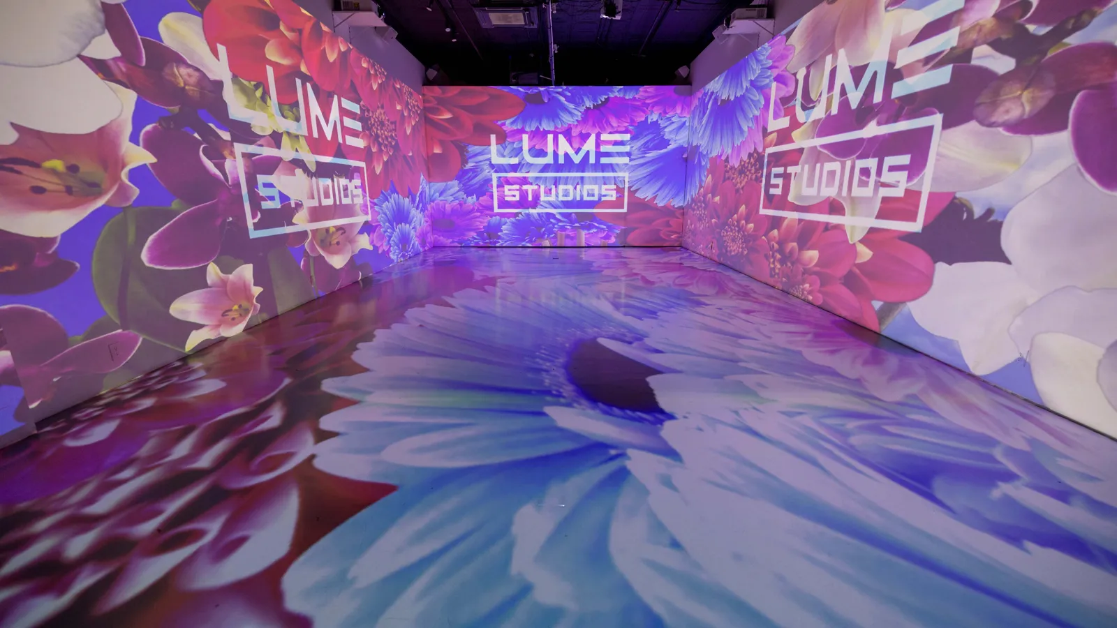 Immersive projection room wrapped in floral visuals